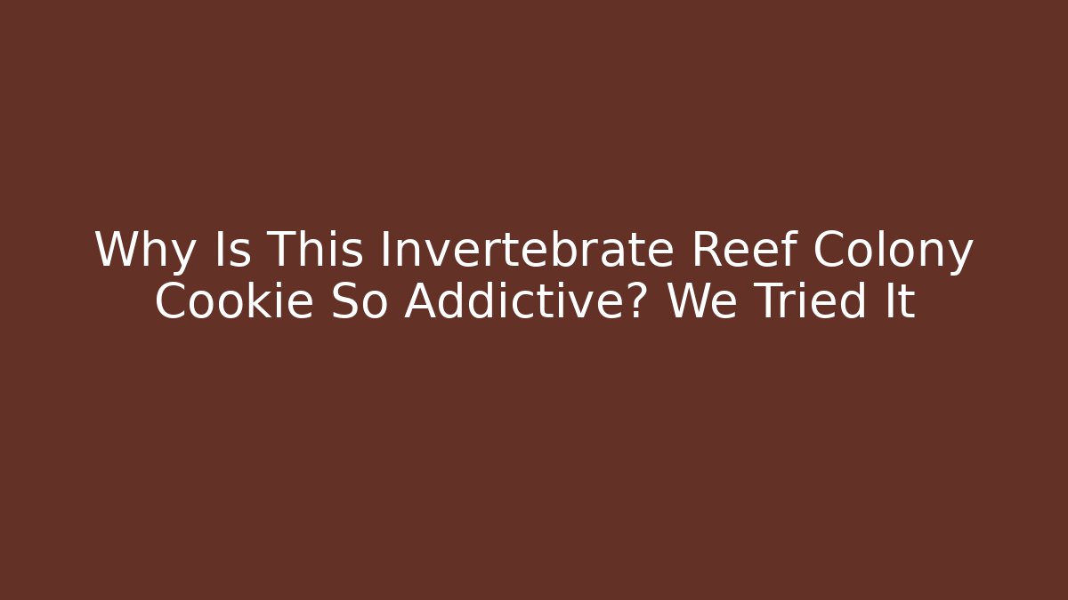 Why Is This Invertebrate Reef Colony Cookie So Addictive? We Tried It