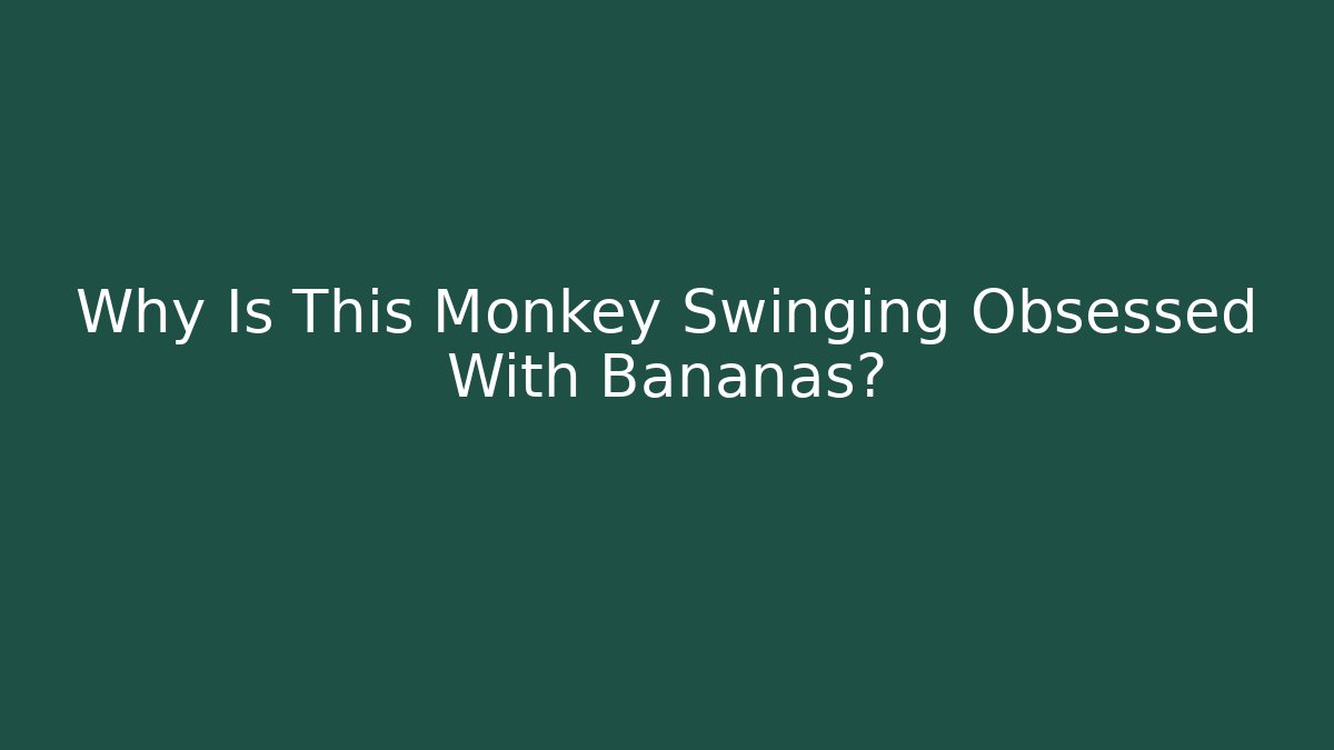 Why Is This Monkey Swinging Obsessed With Bananas?