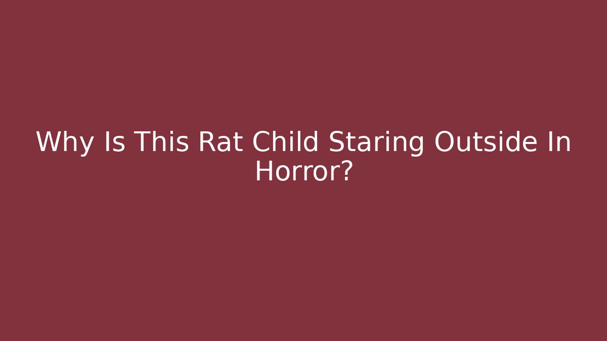 Why Is This Rat Child Staring Outside In Horror?