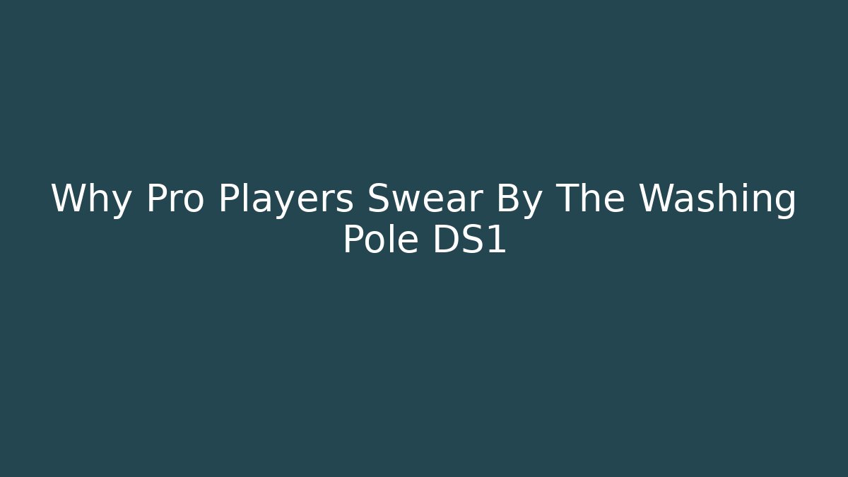 Why Pro Players Swear By The Washing Pole DS1
