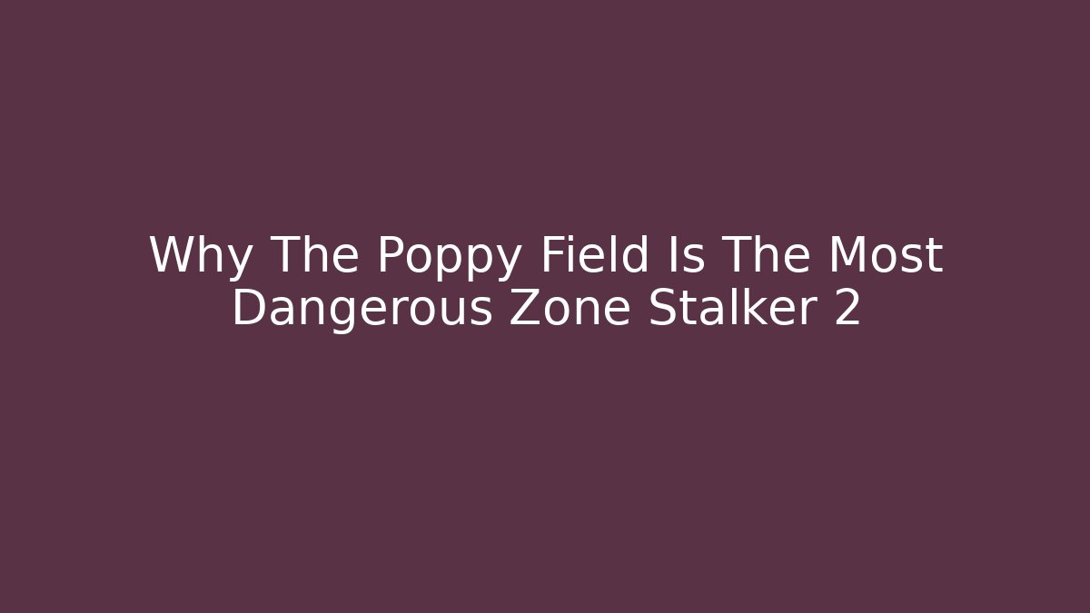 Why The Poppy Field Is The Most Dangerous Zone Stalker 2