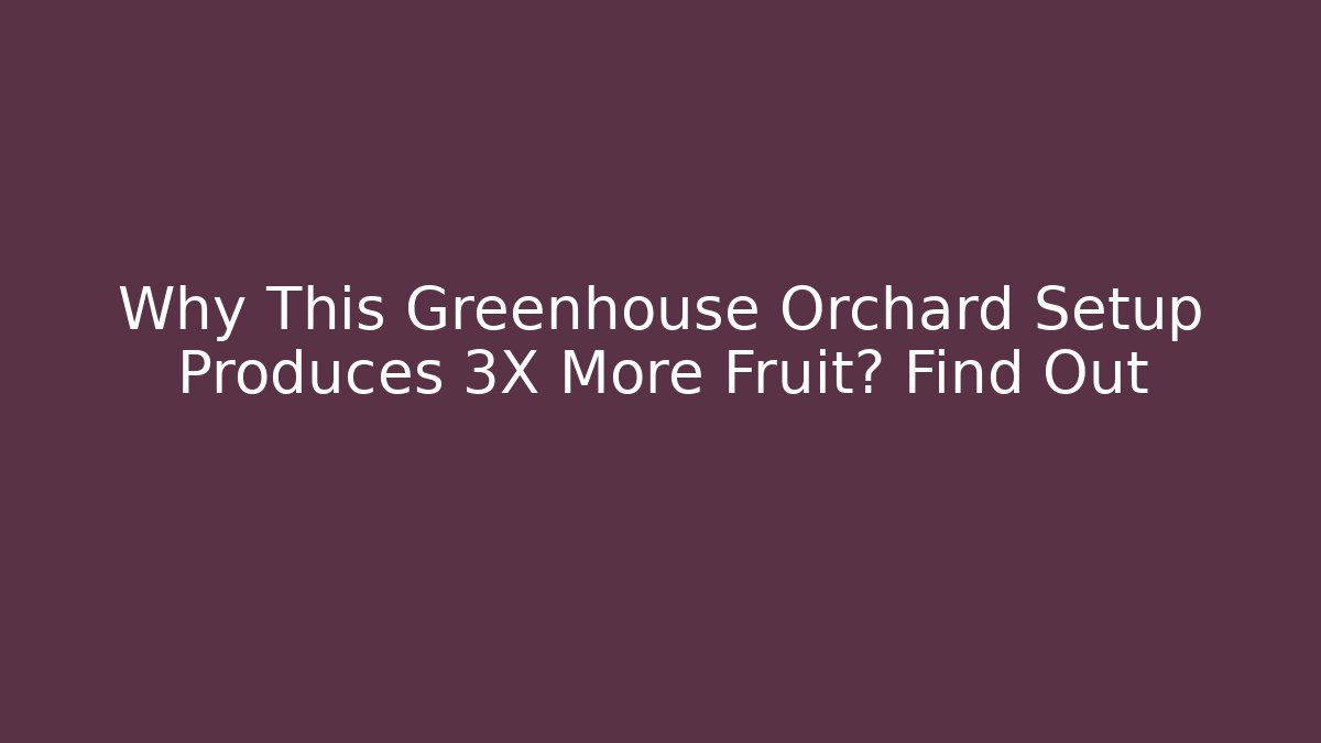 Why This Greenhouse Orchard Setup Produces 3X More Fruit? Find Out