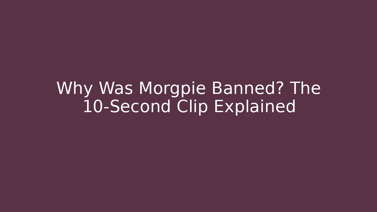 Why Was Morgpie Banned? The 10-Second Clip Explained