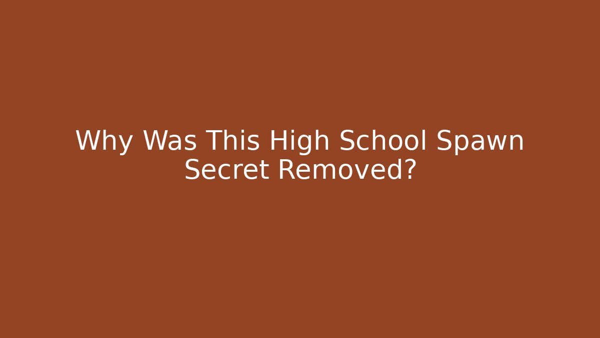 Why Was This High School Spawn Secret Removed?