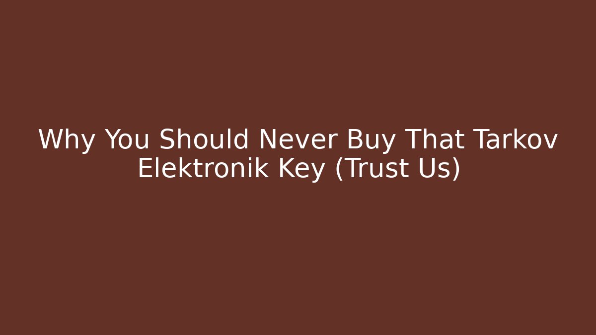 Why You Should Never Buy That Tarkov Elektronik Key (Trust Us)