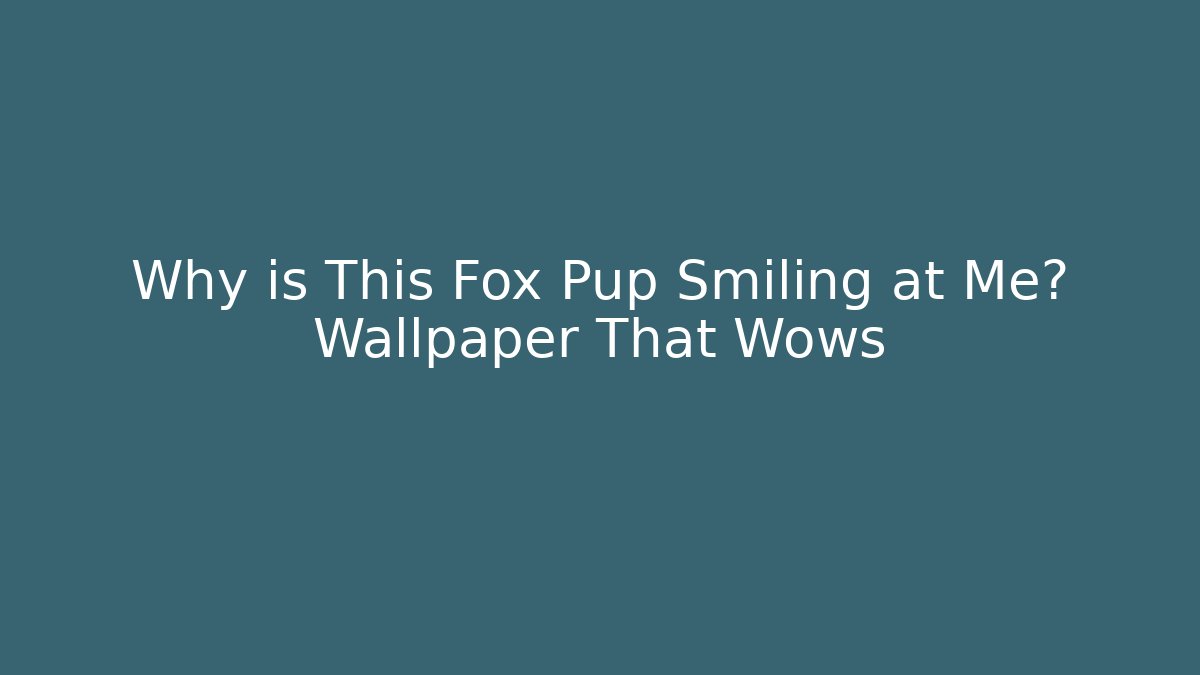 Why is This Fox Pup Smiling at Me? Wallpaper That Wows