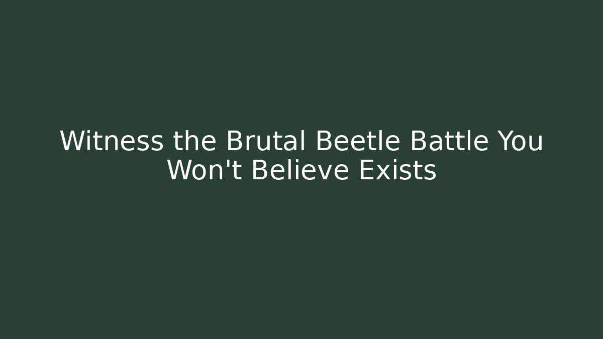 Witness the Brutal Beetle Battle You Won’t Believe Exists