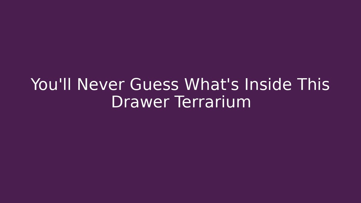 You'll Never Guess What's Inside This Drawer Terrarium