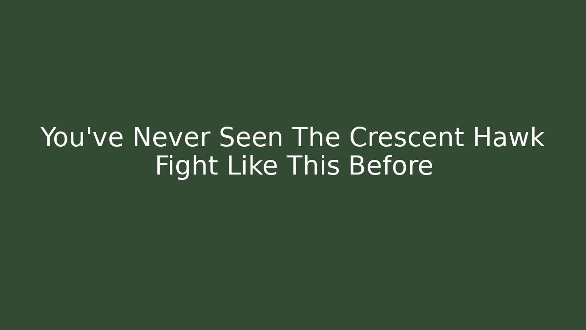 You’ve Never Seen The Crescent Hawk Fight Like This Before