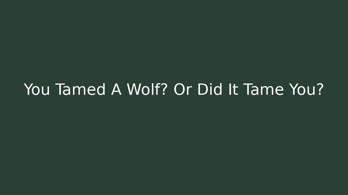 You Tamed A Wolf? Or Did It Tame You?