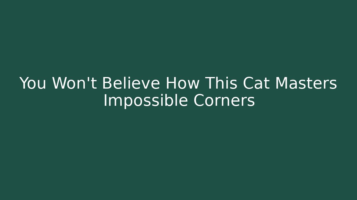 You Won't Believe How This Cat Masters Impossible Corners