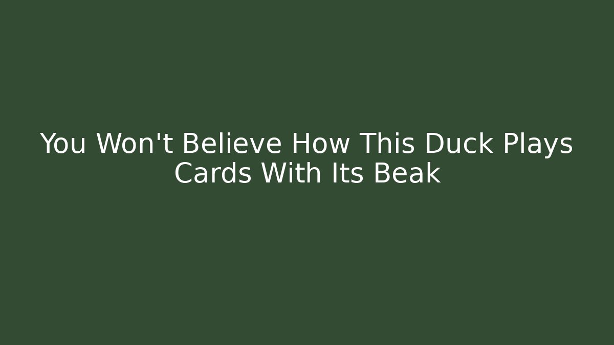 You Won't Believe How This Duck Plays Cards With Its Beak