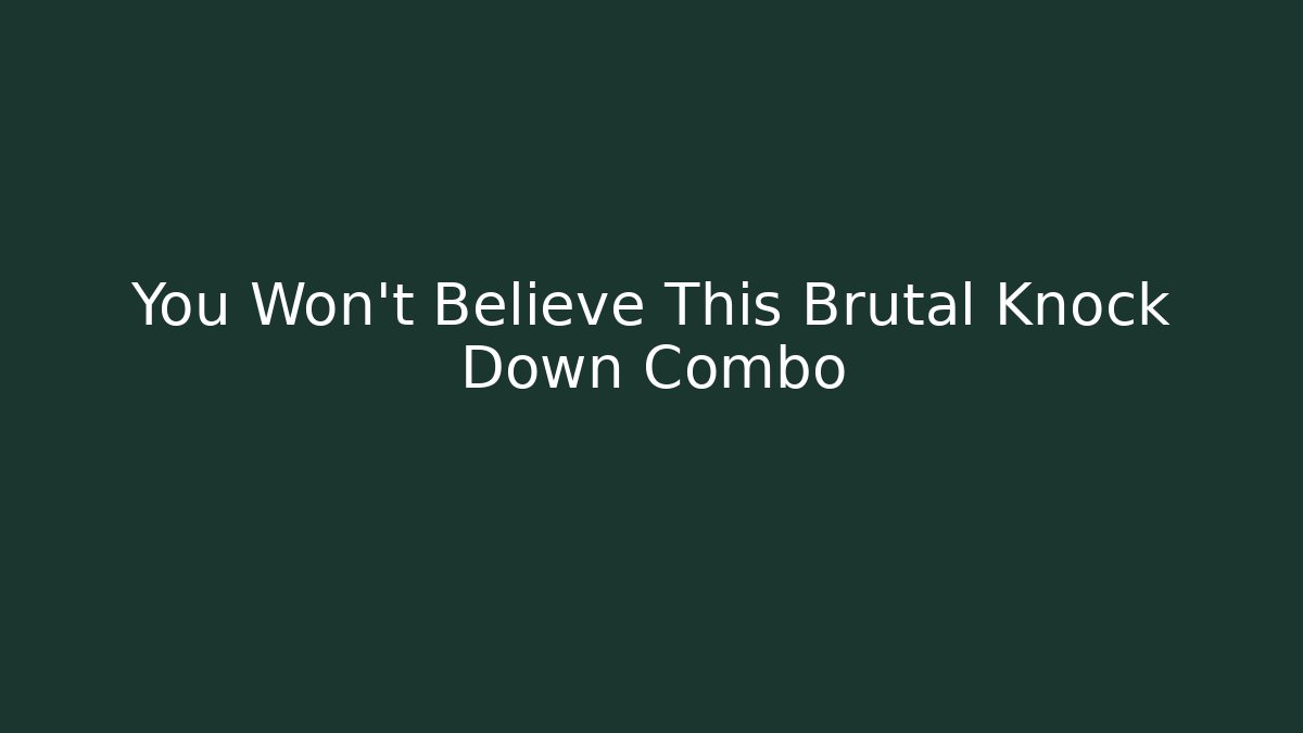 You Won't Believe This Brutal Knock Down Combo