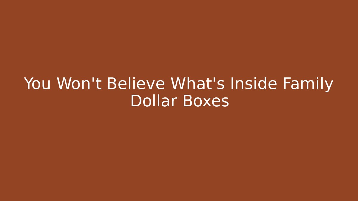You Won't Believe What's Inside Family Dollar Boxes