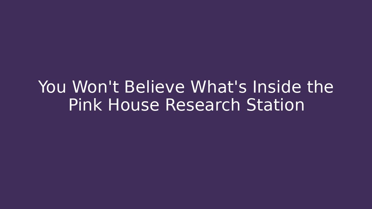 You Won't Believe What's Inside the Pink House Research Station