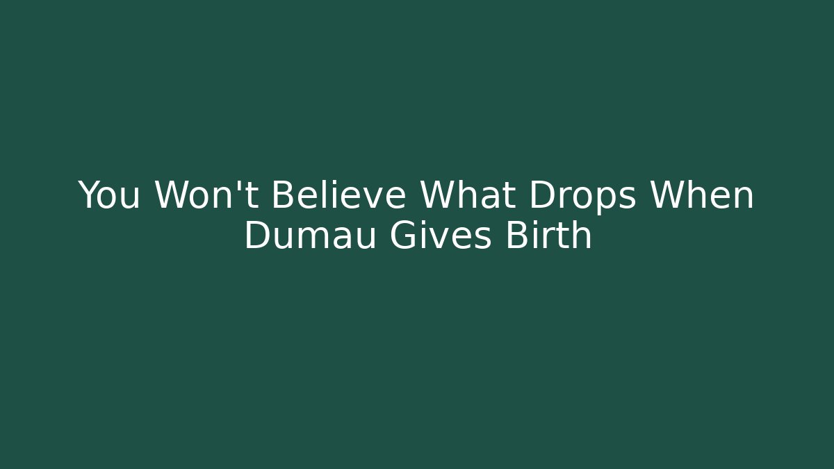 You Won't Believe What Drops When Dumau Gives Birth
