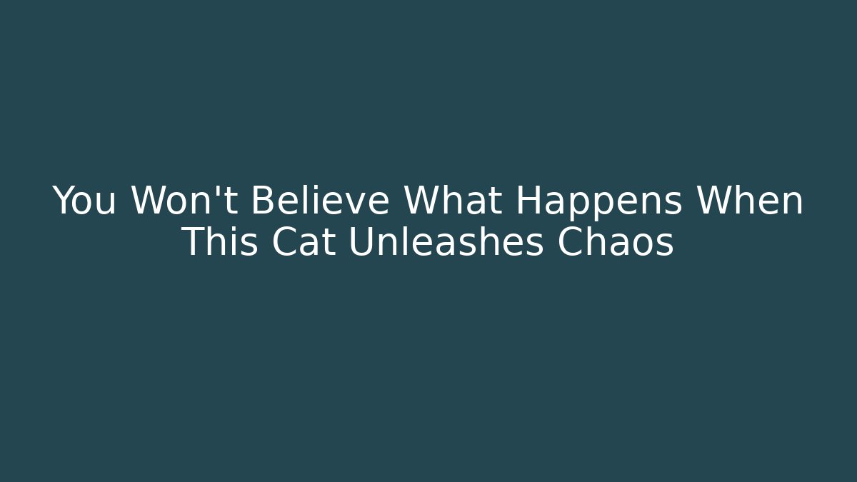 You Won't Believe What Happens When This Cat Unleashes Chaos