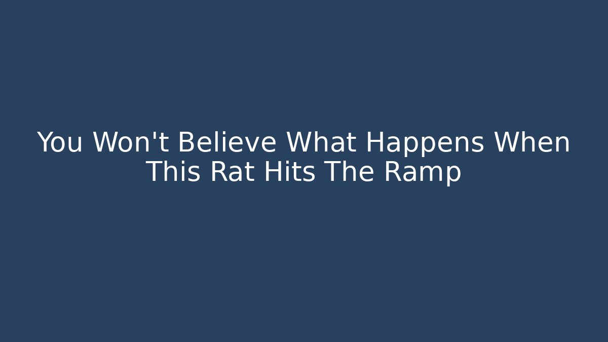 You Won't Believe What Happens When This Rat Hits The Ramp