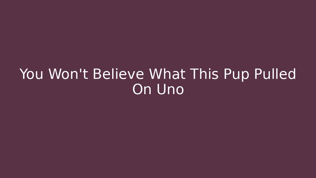 You Won't Believe What This Pup Pulled On Uno